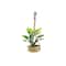 Mini Hanging Plant by Make Market®